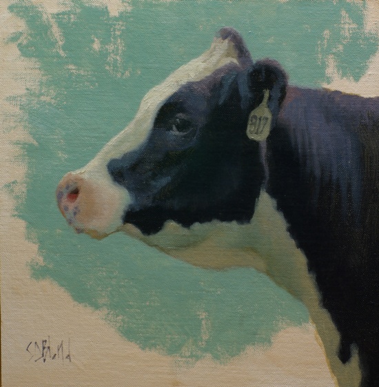 An oil painting of a holstein heifer (No 817), a member of the herd at Rocky Pointe Farm in Point of Rocks, MD.